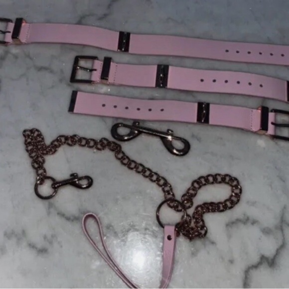 Honey Birdette Pink Belt and Chain Set - Picture 3 of 3